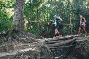 BIB: 
                            <button type="button" onclick="openModal(27747167)" class="btn btn-primary btn-sm float-right btn-popup" data-toggle="modal" data-target=".modal-high-quality">
                        <i class="fas fa-shopping-cart"></i> Add to Cart
                    </button>
                                            <button type="button" onclick="isThisMe(27747167, true)" class="btn btn-success btn-sm float-right btn-popup btn-isme hidden" data-toggle="tooltip" data-placement="bottom" title="นี่คือรูปของคุณใช่ไหม คลิกที่นี่เพื่อเอาเข้าอัลบั้ม">
                        <i class="fas fa-plus"></i> Add to album
                    </button>
                    <button type="button" onclick="isThisMe(27747167, false)" class="btn btn-warning btn-sm float-right btn-popup btn-isnotme hidden">
                        <i class="fas fa-ban"></i> Remove from album
                    </button>